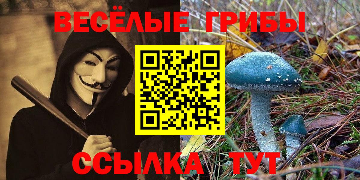 Галлюциногенные грибы мицелий  Галлюциногенные грибы Psilocybe  Вход с VPN  Рузаевка 